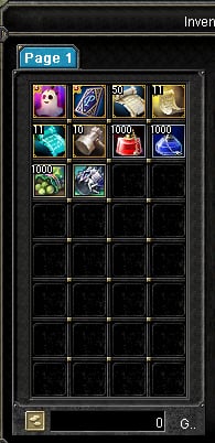 IronSRO-R Starter Items Pack for new players